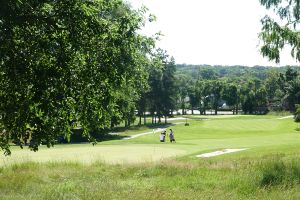 University Of Michigan 8th Back